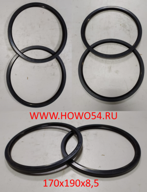 Сальник балансира наружн 170х190х8.5 5404802 А0059978447