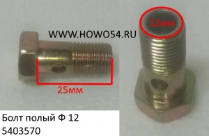 Болт полый Ф 12 А6 D07623 Bosch, Двиг 69 (5403570) 90003962612