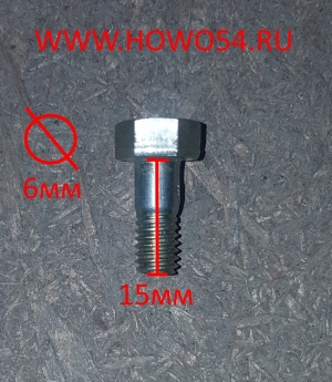 Болт полый Ф 6 5408622 61500080090