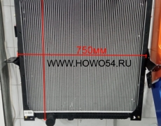 Радиатор охлаждения HOWO A7 пластмассовый (5412809) WG9925530031