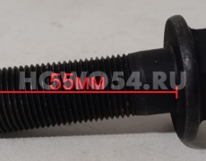 Болт крепления шайбы балансира M18*55 541855 190003803809-18Q