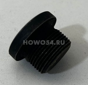 Пробка резьбовая крышки бортового редуктора STEYR 22MM (5406774) 90003098026/81.90310.0527