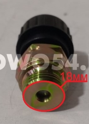Датчик включения блокировки HOWO/SHAANXI X3000 (2контакта) 5423642 WG9100710007
