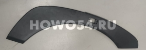 Накладка крыла левого (ЧЁРНЫЙ) HOWO A7 AZ1664230011